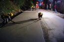 Kontruksi perkerasan beton semen ruas nagrak-Cibadak, Jumat (3/10/2025).