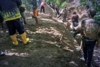 UPTD PU Wilayah IV Palabuhanratu bergerak cepat tangani kerusakan irigasi dan jembatan